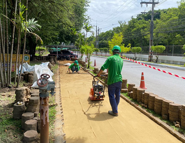 งานปรับปรุงทางเดินอิฐตัวหนอน