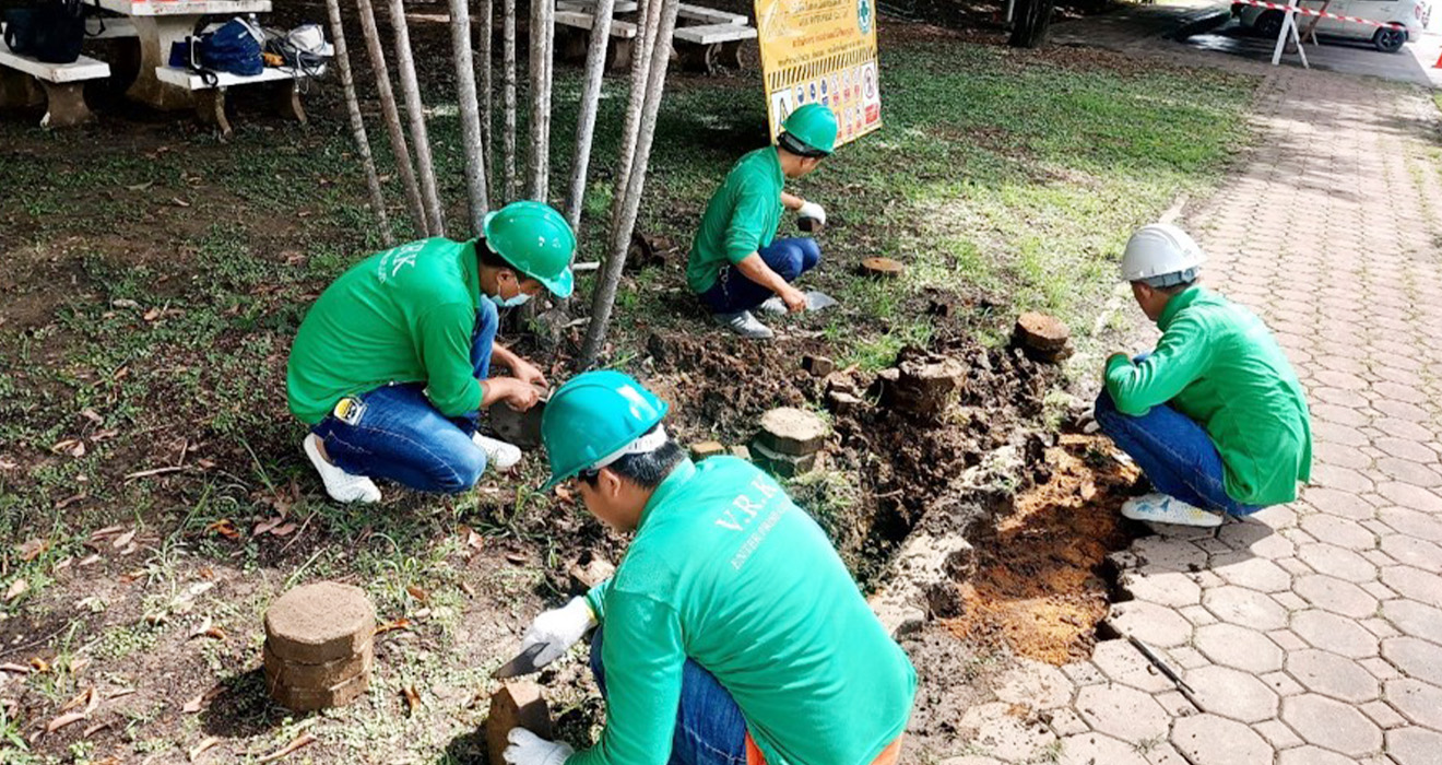งานปรับปรุงทางเดินอิฐตัวหนอน