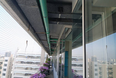 ระบบท่อน้ำดี